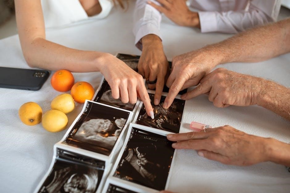 Download The Bump Birth Plan PDF Your Guide to a Perfect Delivery